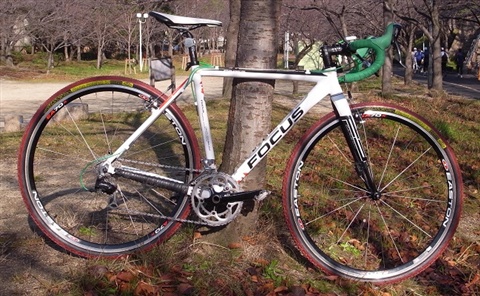 focus mares 2010